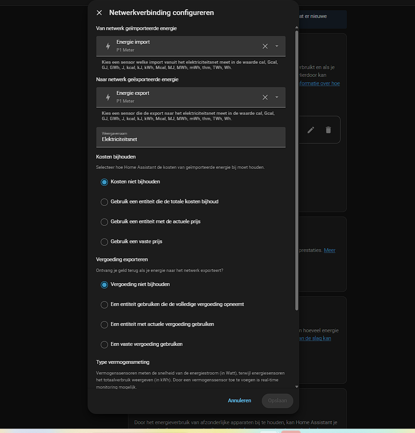 Home Assistant configuratiescherm 'Netwerkverbinding configureren' met Energie import en Energie export gekoppeld aan de P1 Meter